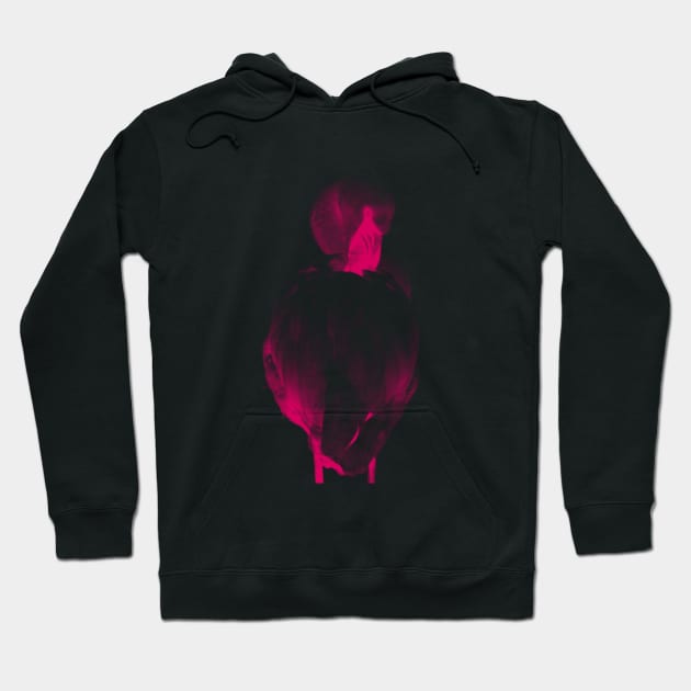 Flamingo 02 Hoodie by froileinjuno